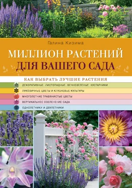 Галина Кизима Миллион растений для вашего сада обложка книги