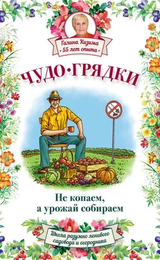 Галина Кизима Чудо-грядки: не копаем, а урожай собираем обложка книги