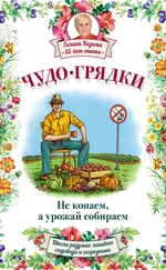 Галина Кизима - Чудо-грядки - не копаем, а урожай собираем