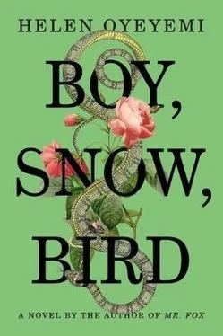 Helen Oyeyemi Boy, Snow, Bird обложка книги