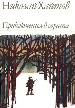 Николай Хайтов Приключения в гората обложка книги