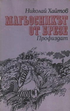 Николай Хайтов Магьосникът от Брезе обложка книги