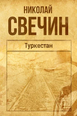 Николай Свечин Туркестан обложка книги