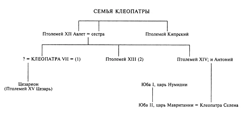 1 Имя Цезарь повидимому происходит от caesus что полатыни означает - фото 19