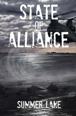Summer Lane State of Alliance обложка книги
