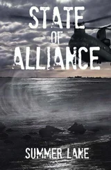 Summer Lane - State of Alliance