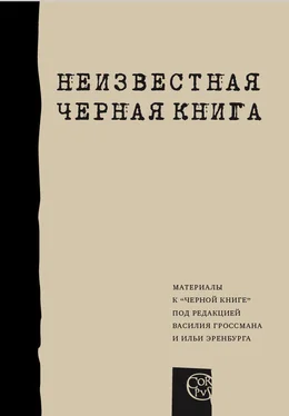 Илья Альтман Неизвестная «Черная книга» обложка книги