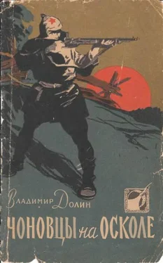 Владимир Долин (Белоусов) Чоновцы на Осколе обложка книги