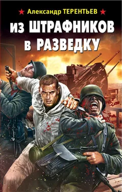 Александр Терентьев Из штрафников в разведку обложка книги