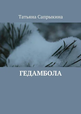 Татьяна Сапрыкина Гедамбола обложка книги