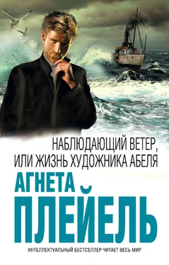 Агнета Плейель Наблюдающий ветер, или Жизнь художника Абеля обложка книги