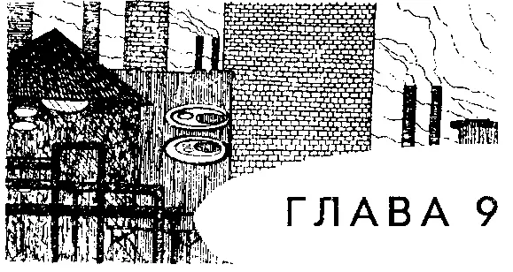 Наблюдая одним глазом на спиной Монсенсена клерк наклонился над плечом - фото 21