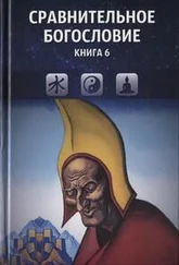 Коллектив авторов - Сравнительное богословие. Книга 6