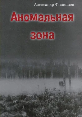 Александр Филиппов Аномальная зона обложка книги