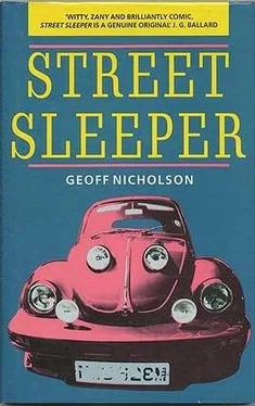 Geoff Nicholson Street Sleeper обложка книги