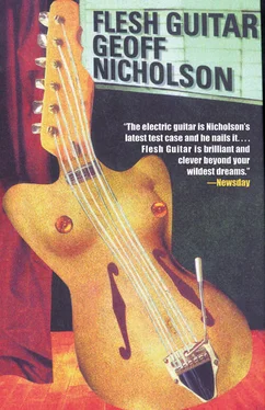 Geoff Nicholson Flesh Guitar обложка книги