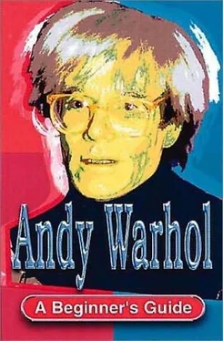 Geoff Nicholson Andy Warhol обложка книги