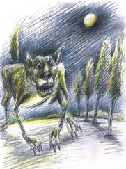 Гектор Манро - Волчица