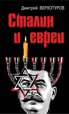 Дмитрий Верхотуров Сталин и евреи обложка книги