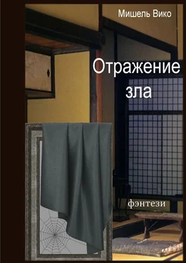 Мишель Вико Отражение зла обложка книги