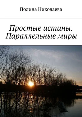 Полина Николаева Простые истины. Параллельные миры (сборник) обложка книги