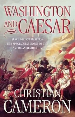 Christian Cameron Washington and Caesar обложка книги