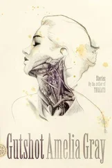 Amelia Gray - Gutshot - Stories