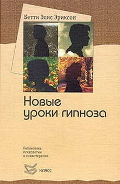 Бетти Эриксон Семинар с Бетти Элис Эриксон: новые уроки гипноза обложка книги