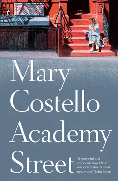 Mary Costello Academy Street обложка книги