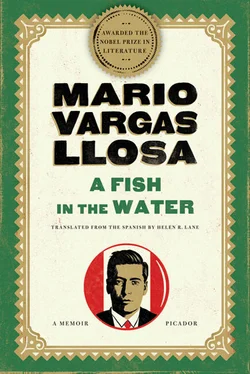 Mario Vargas Llosa A Fish in the Water: A Memoir обложка книги