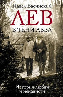 Павел Басинский Лев в тени Льва. История любви и ненависти обложка книги