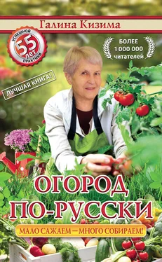 Галина Кизима Огород по-русски. Мало сажаем, много собираем обложка книги