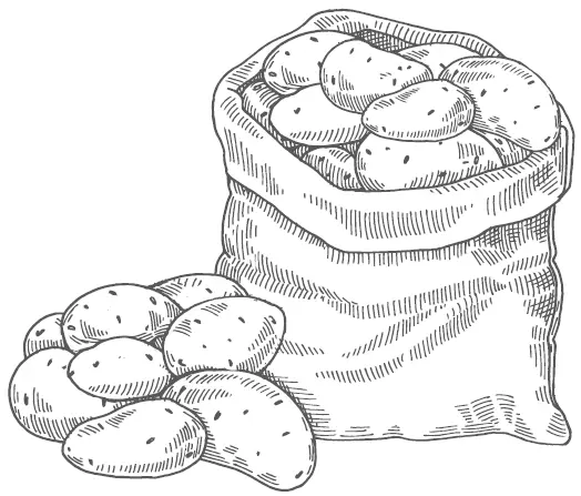 Ответы на самые популярные вопросы о картофеле Можно ли вырастить картофель - фото 3