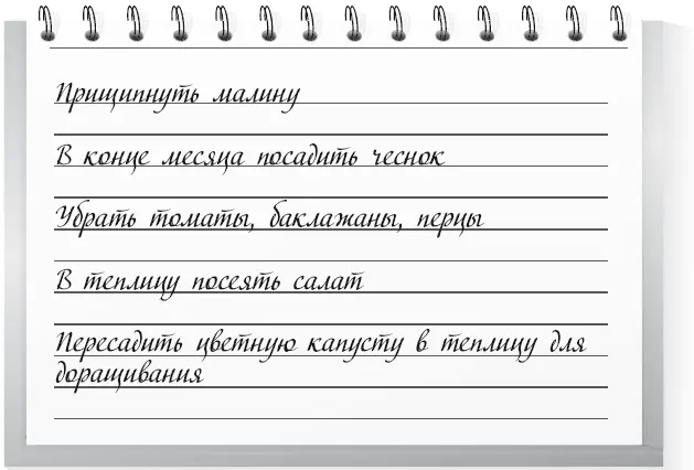 1 Прищипните концы боковых побегов у малины когда они достигнут длины 40 см - фото 57