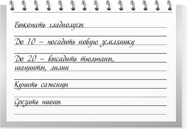 1 В начале месяца срежьте гладиолусы и через две недели выкопайте луковицы - фото 59