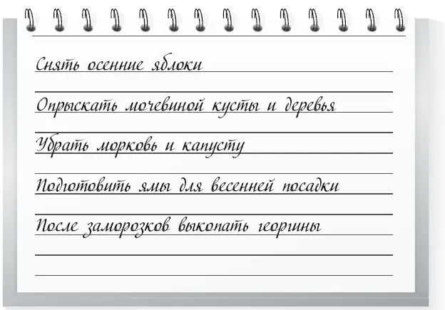 1 Снимите урожай оставшихся яблок 2 Опрыскайте по оставшейся листве кусты и - фото 61