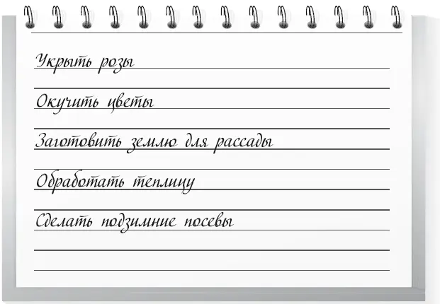 1 Укройте на зиму розы ящиками а поверх них лапником 2 Окучьте пионы - фото 63