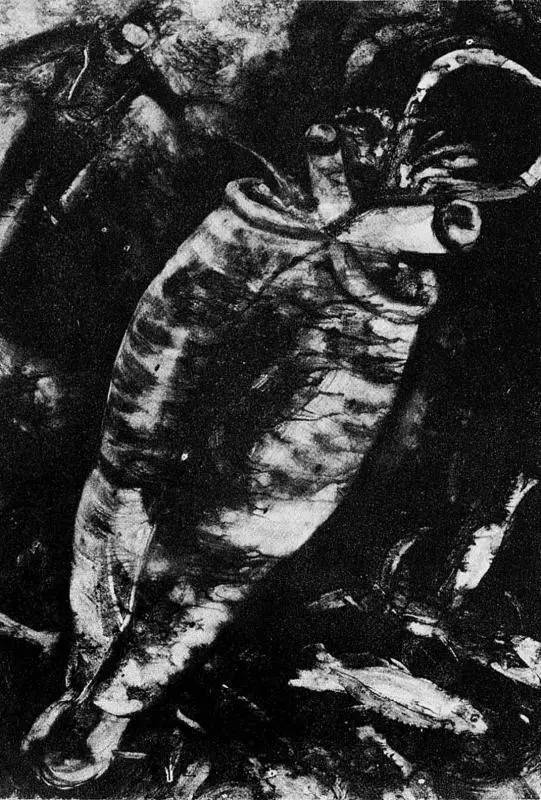 Главный предмет этой книги эволюция как решение проблемы сложного замысла - фото 19