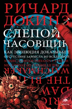 Ричард Докинз Слепой часовщик. Как эволюция доказывает отсутствие замысла во Вселенной обложка книги