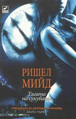 Ришел Мийд - Тъгата на сукубата