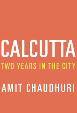 Amit Chaudhuri Calcutta: Two Years in the City обложка книги