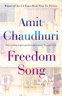 Amit Chaudhuri Freedom Song обложка книги