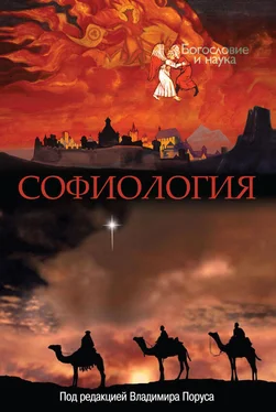 Сборник статей Софиология обложка книги