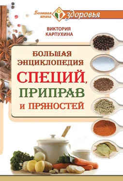 Виктория Карпухина Большая энциклопедия специй, приправ и пряностей обложка книги