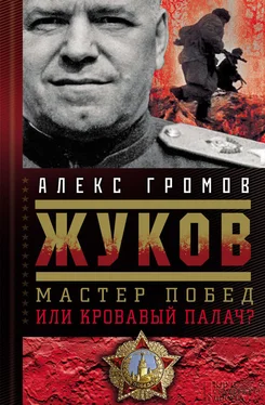 Алекс Громов Жуков. Мастер побед или кровавый палач? обложка книги