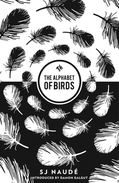 S. Naudé The Alphabet of Birds обложка книги