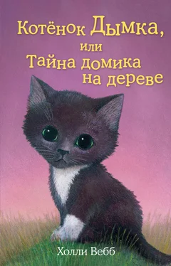 Холли Вебб Котенок Дымка, или Тайна домика на дереве обложка книги