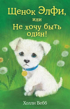 Холли Вебб Щенок Элфи, или Не хочу быть один! обложка книги