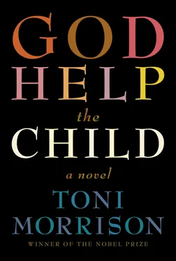 Toni Morrison God Help the Child обложка книги