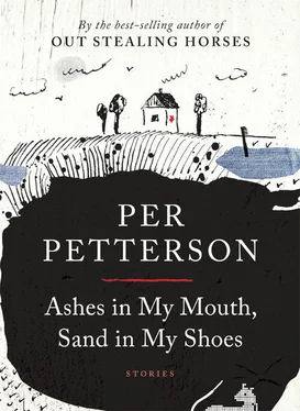 Per Petterson Ashes in My Mouth, Sand in My Shoes обложка книги